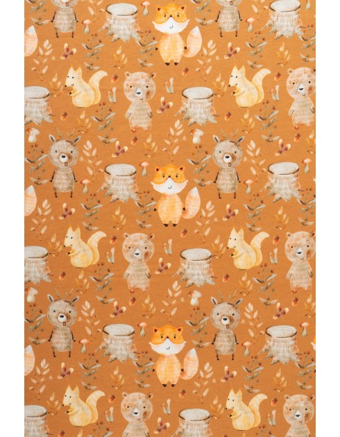 Sienessä -joustocollege